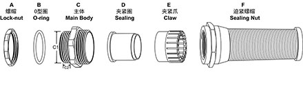 1636092025613551.jpg 8-5.jpg